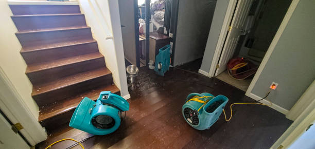 Best Water damage restoration near me  in Clear Lake Shores, TX