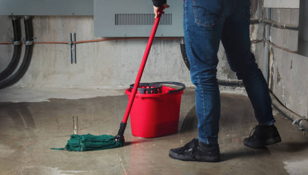 Best Carpet water damage restoration  in Clear Lake Shores, TX