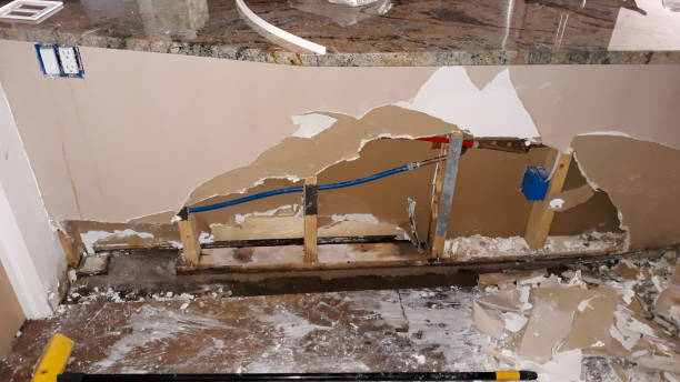 Best Professional water damage repair  in Clear Lake Shores, TX